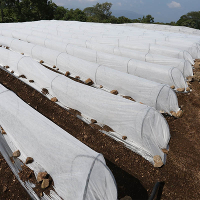 सब्जी के लिए विरोधी यूवी 420 सेमी चौड़ाई कृषि गैर बुना हुआ कपड़ा