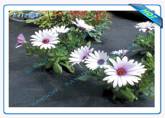 3% यूवी संरक्षण 10 साल की गारंटी कृषि गैर बुना कवर काले रंग में Spunbond